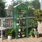Mini Greenhouse with 5 Shelves, Roll-Up Door & PE Cover for Indoor & Outdoor Plants